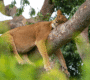 Where to do tours in Uganda