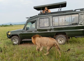 Travel Agencies within Kampala