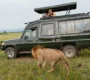 Travel Agencies within Kampala