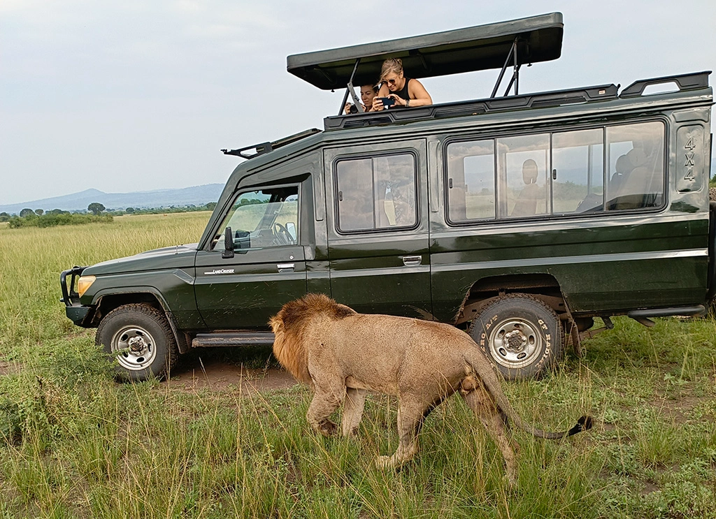 Travel Agencies within Kampala